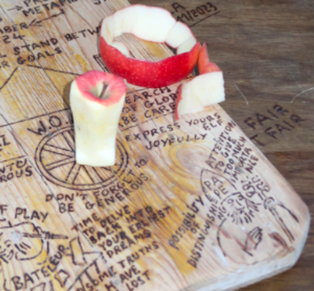 LEO 2024 - Josep Maynou