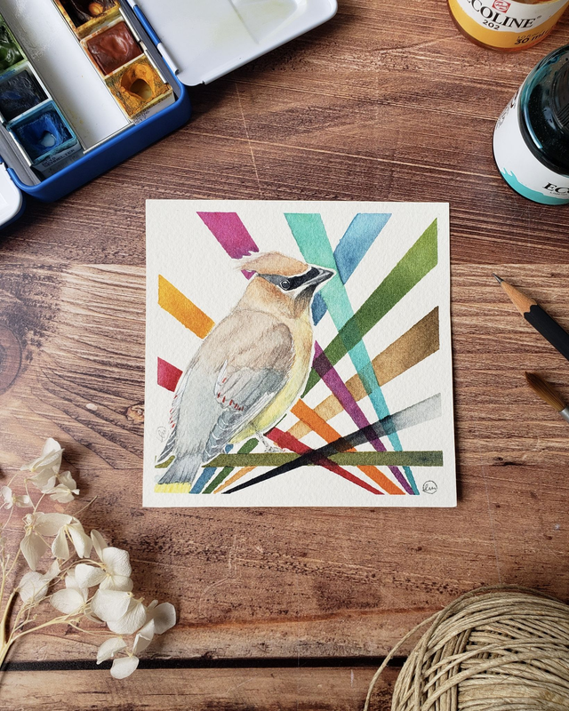 Aquarelle originale - Jaseur d'Amérique