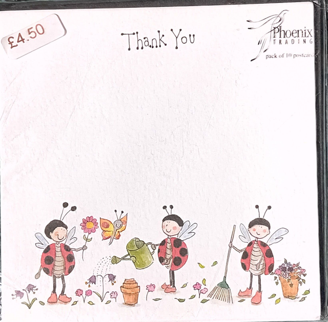 Ladybird Thank You Notecards