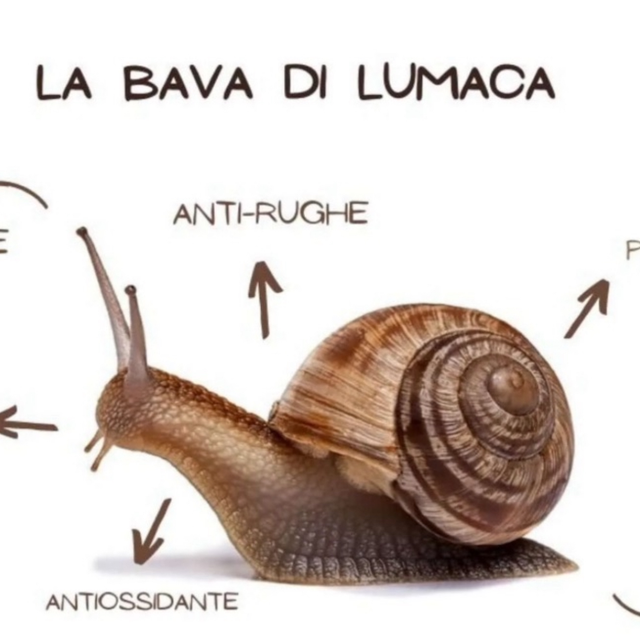 SNAIL GLOW - trattamento rigenerante alla bava di lumaca