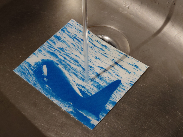 Cyanotype Printing Workshop - Trondra Hall - Saturday 18th April