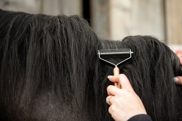 Smart Grooming - Smart Manes