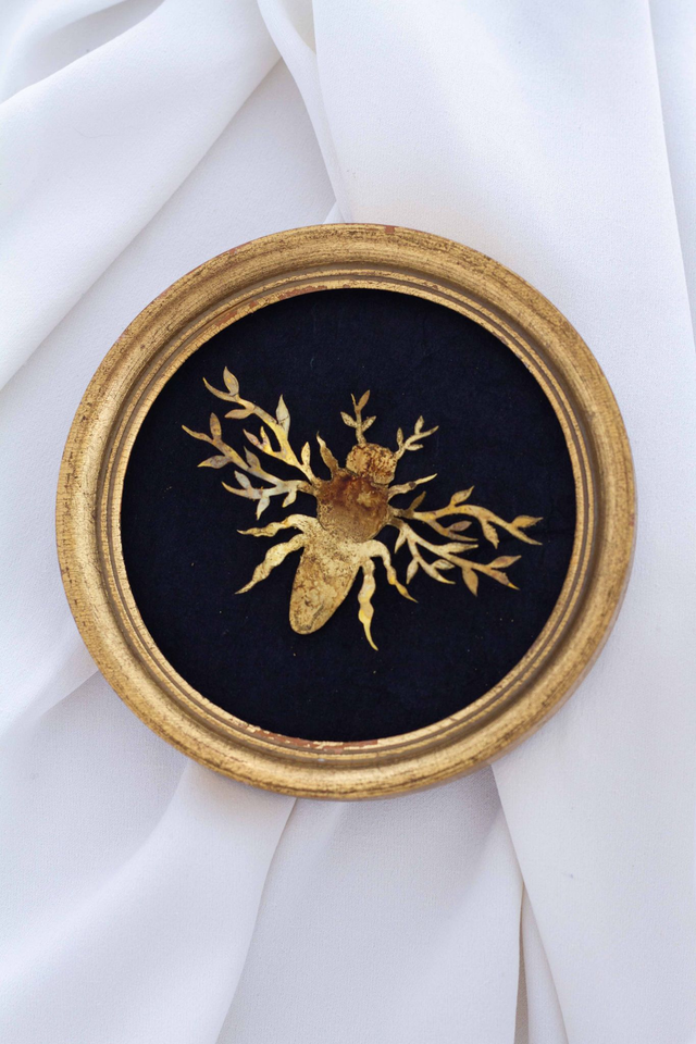 z-Métamorphe - Disponible uniquement au Musée d'histoire Naturelle de Lille