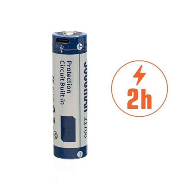 Ammonite Led Sting Ray basic set plus