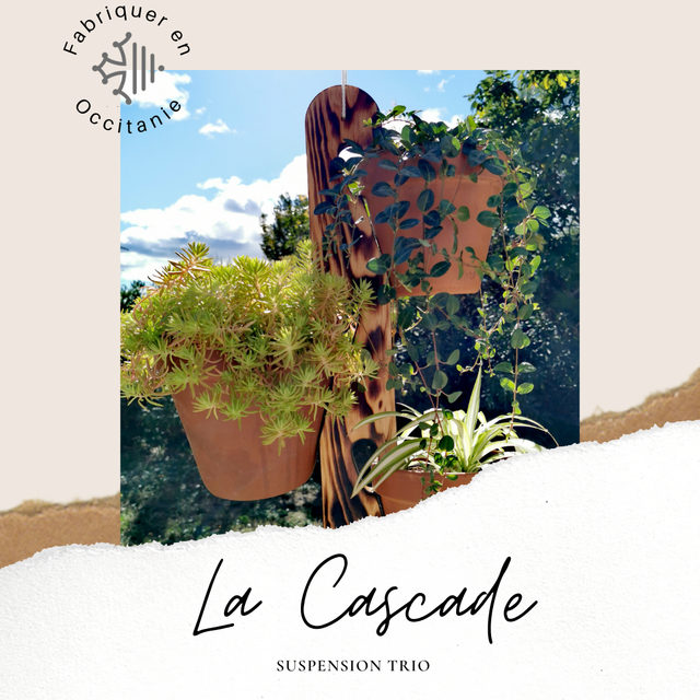 Suspension Trio - 3 Plantes