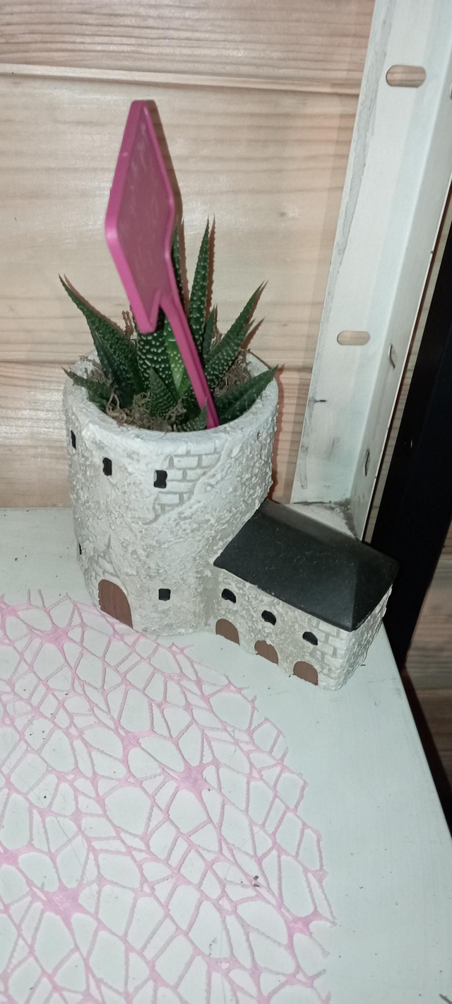 Maison provençale avec plante