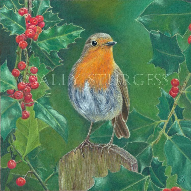 "Robin in Holly" 6x6" Original Pastel Painting Artwork