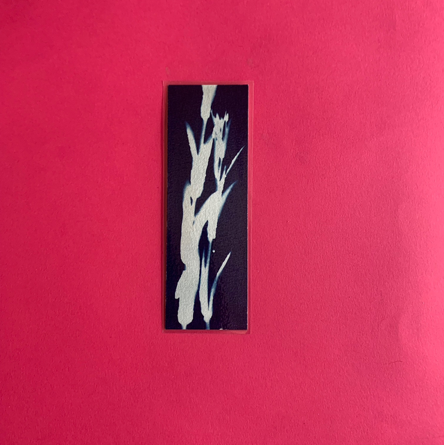 Marque page cyanotype végétal original sur papier épais et plastifié