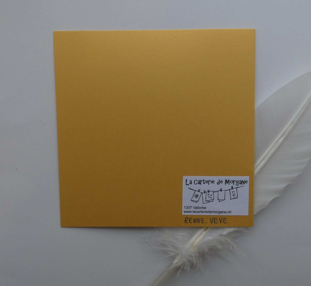 Le joli renne de Noël