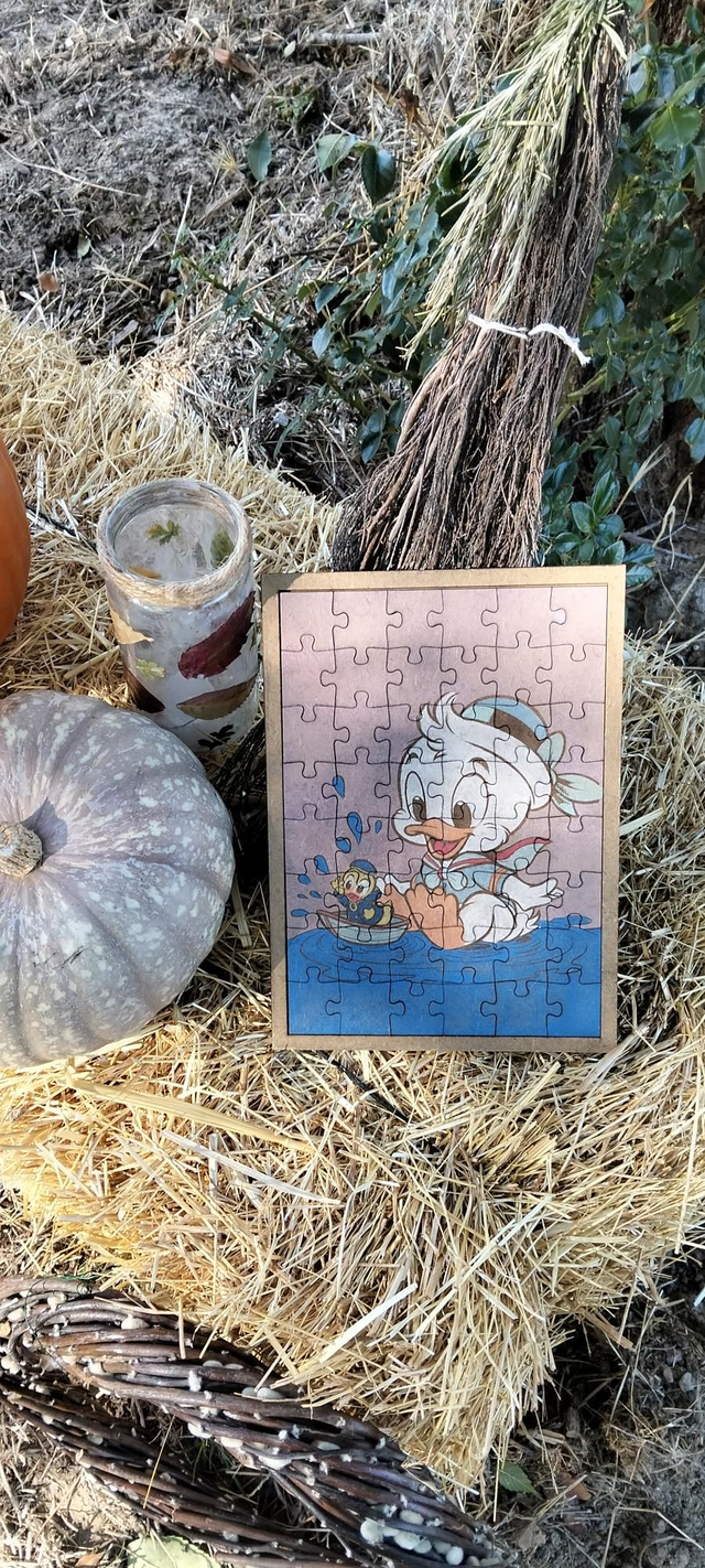 Puzzle pato Donalds 