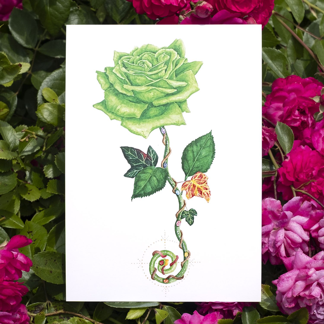 Rose Verte A5