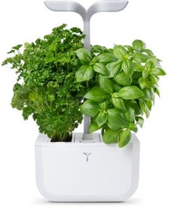 Véritable Exky SMART