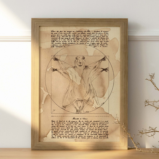 Affiche A4 - Café - Marmotte de Vitruve