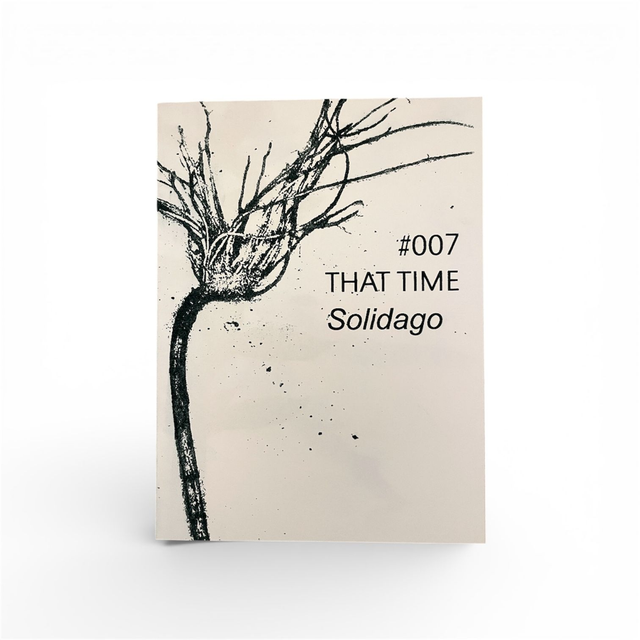 THAT TIME #007 - solidago