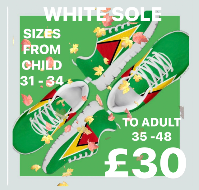  🇬🇾GEO WTE PUMKERTONS