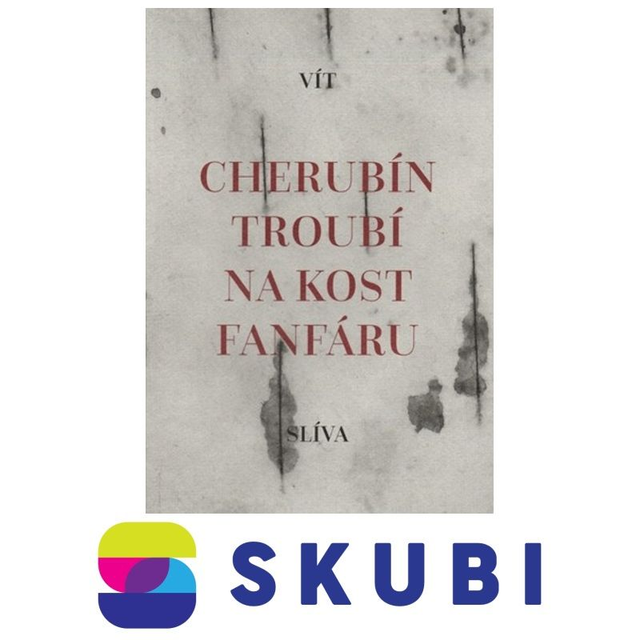 Kniha Cherubín troubí na kost fanfáru - Vít Slíva