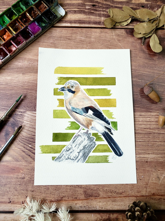 Aquarelle originale - Geai des chênes