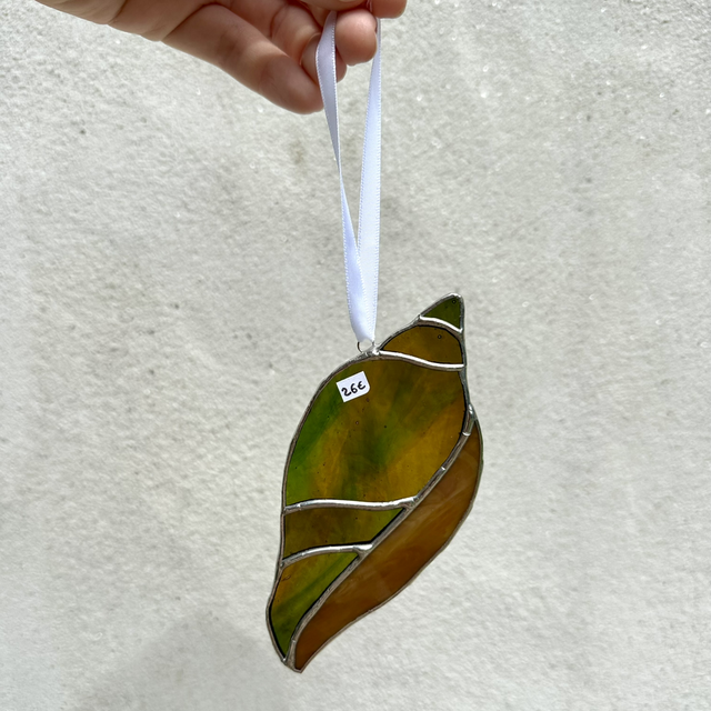Coquillage (marron/vert)