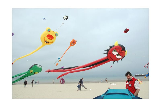 15 by 10 inch print. Weymouth kite festival.
