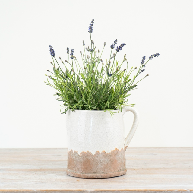 Ido Terracotta Cream Jug