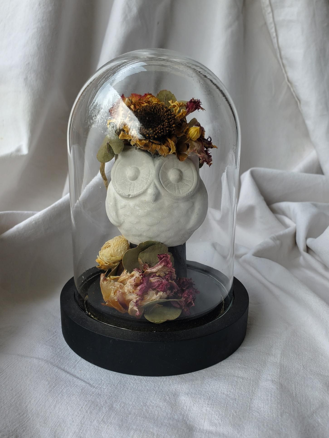 M08 Chouette lumineuse