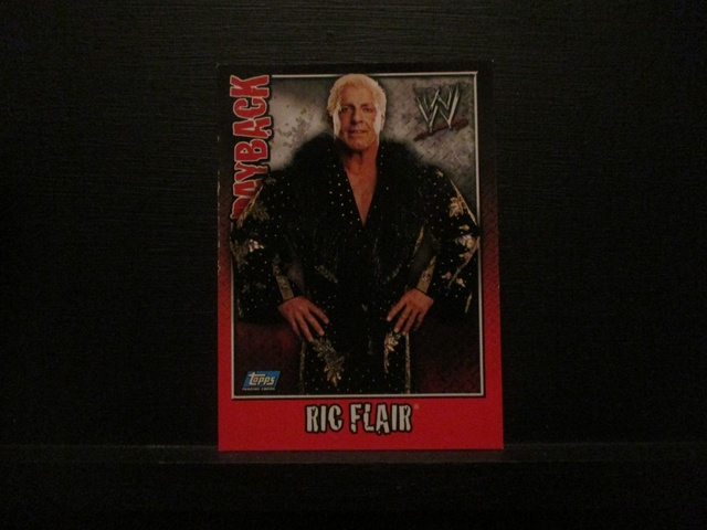 Ric Flair - Payback Original Trading Card #16