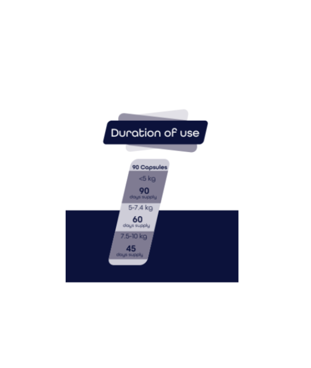 Joint Care Tablets for Cats - 90 capsules