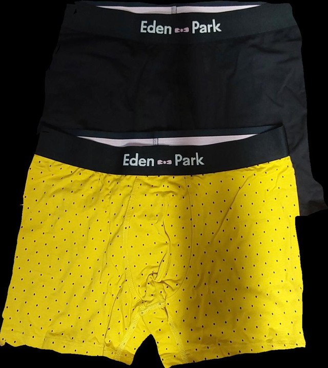 Caleçon EDEN PARK lot de 2 