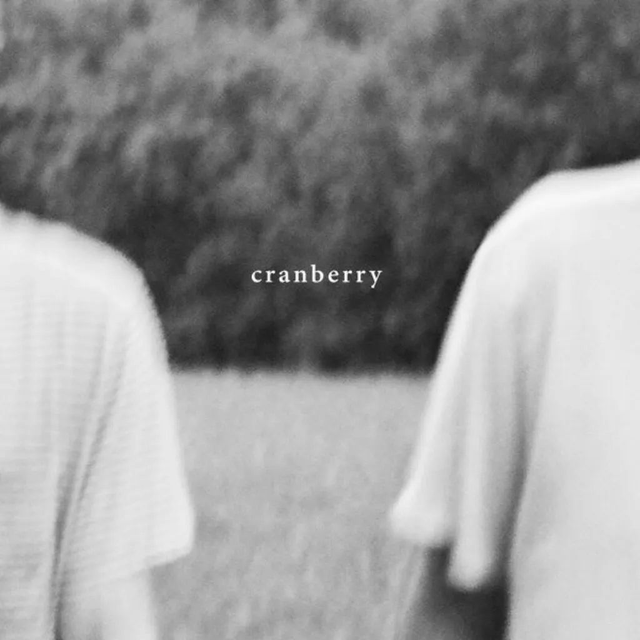 Hovvdy - Cranberry LP