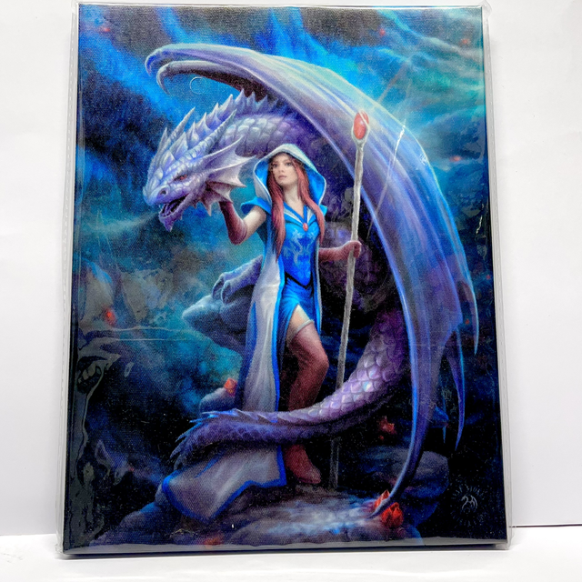 Anne Stokes Art - Dragon Mage Hanging Canvas Print