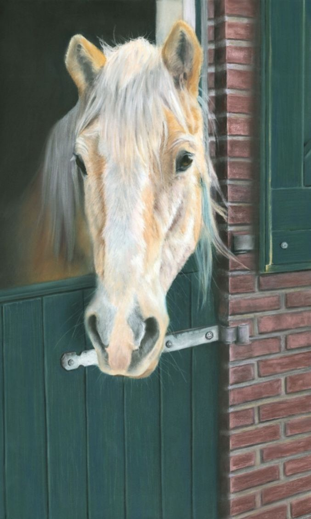 Greeting Card 'SOFIE' (Olde Manegepeerd)