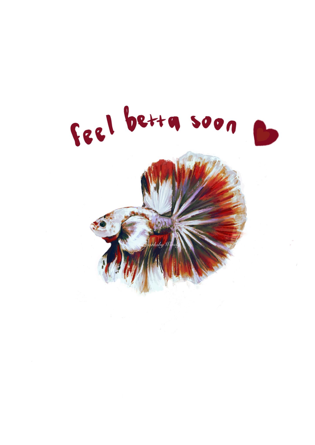 Betta Fish - Warm Rainbow White-face