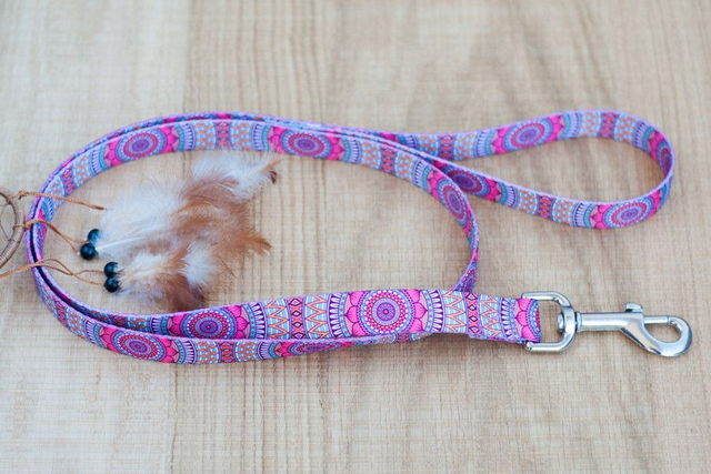 Joplin leash