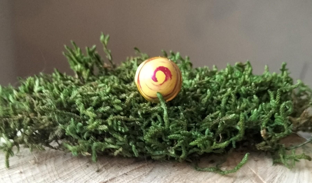 c.Bagues colorées vernis en bois réglable 