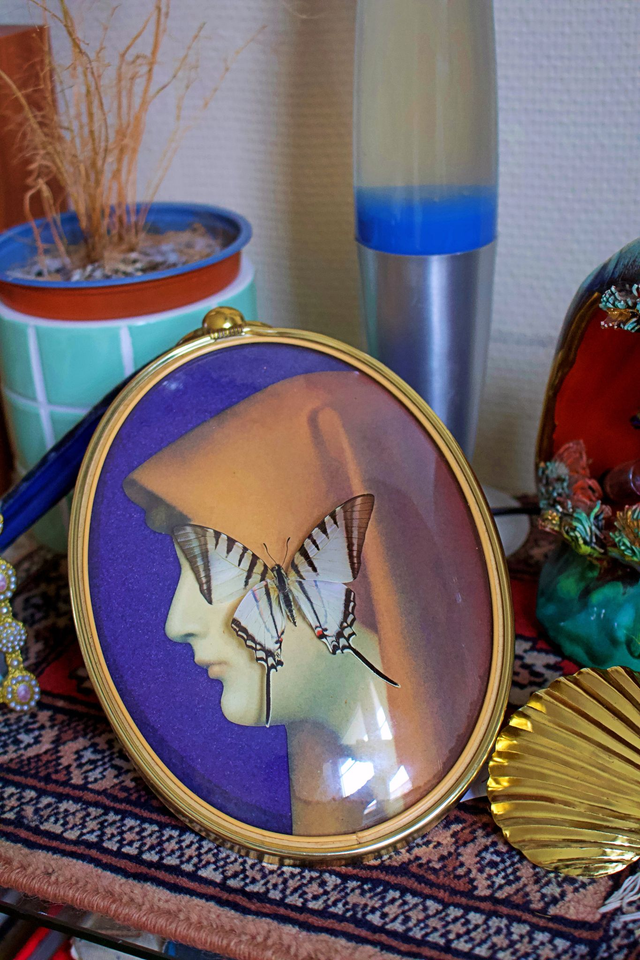 Graphium Dorcus Dorcus