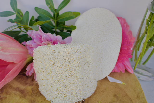 ÉPONGE LOOFAH 