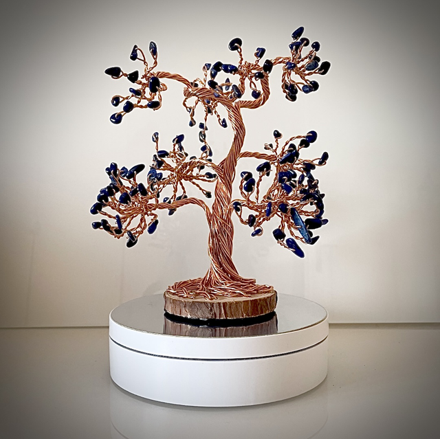 Arbre Bonsaï Lapis-lazuli 