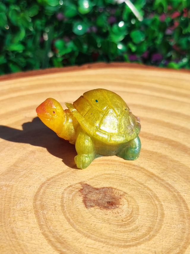 Tortue terrestre