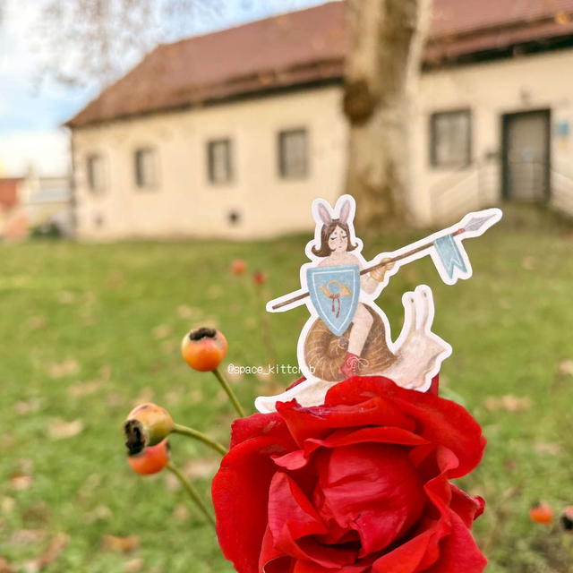 Snail rider single sticker