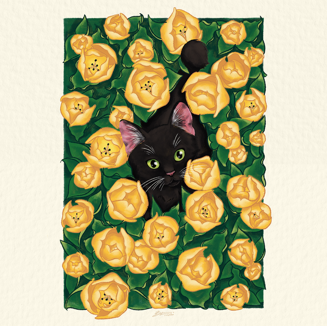 Chaton dans les tulipes