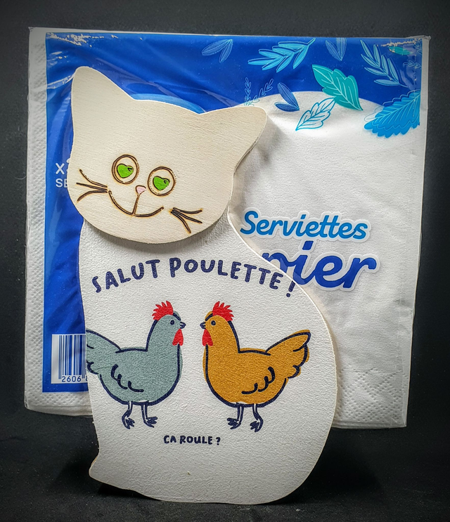 distributeur de serviettes