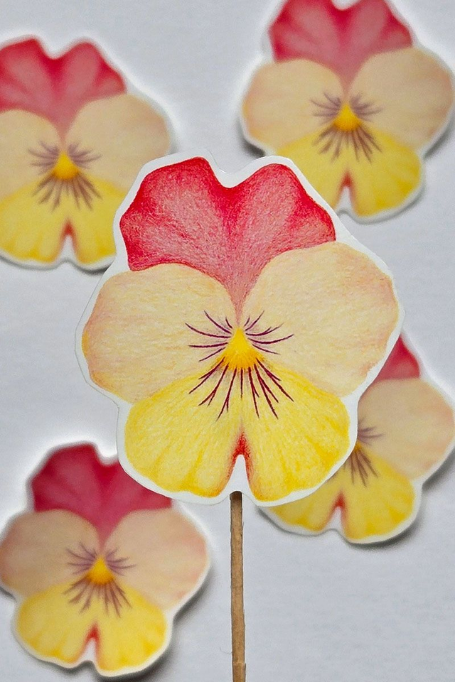 Sticker fleur Pensée