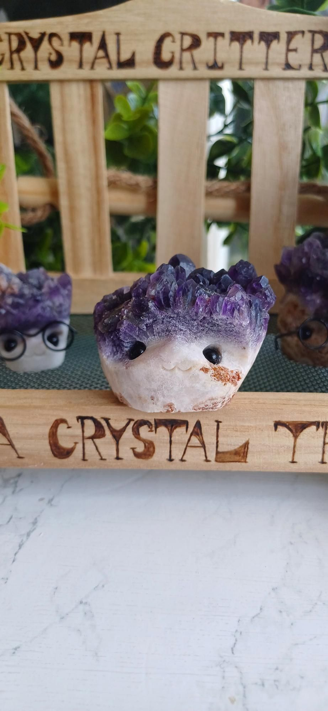 Lumi - Crystal Critter Scholar