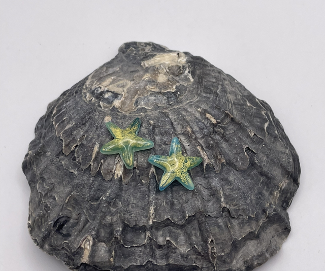 Starfish #1