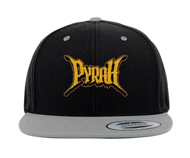 Logo embroided snapback
