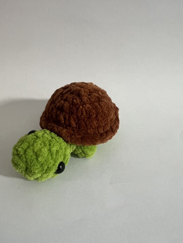Tortue - Mini 🐢