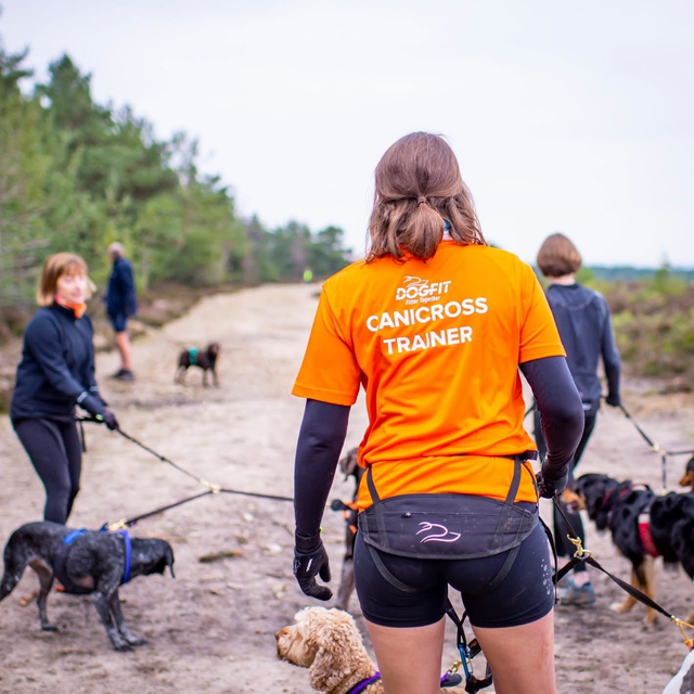 DOGFIT 1:1 Taster Session