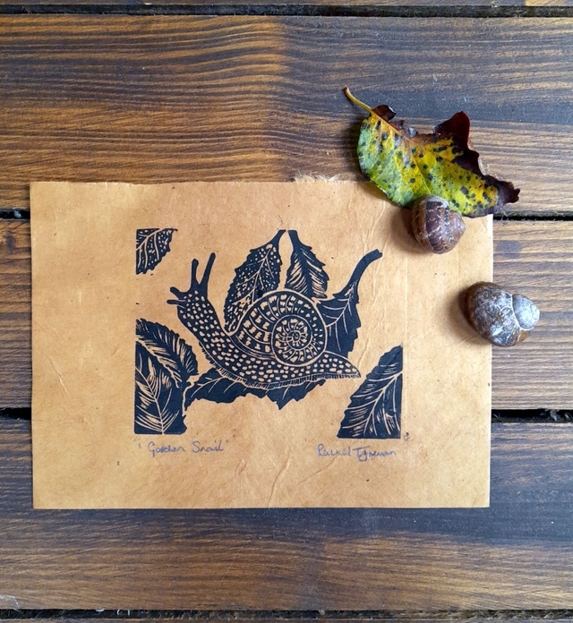 Garden Snail