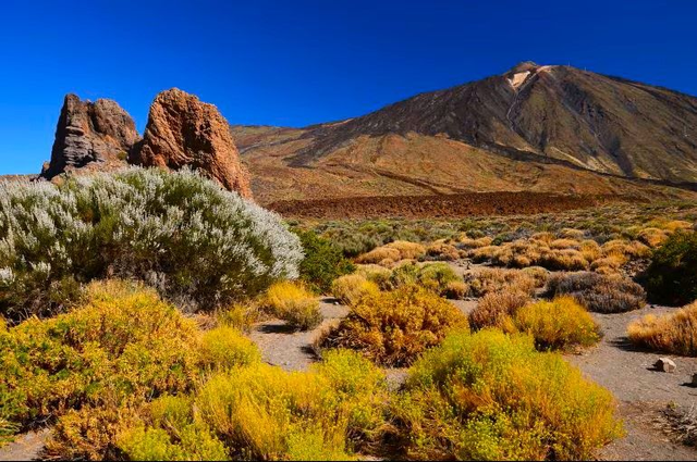 Teide: del Mar a las Nubes