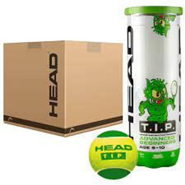Head Tip Green Tennis Balls - Box of 24 Tubes - 6 Dz